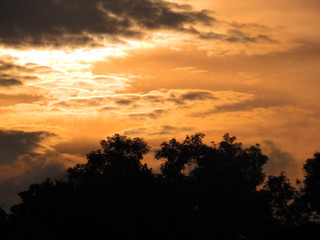 Fototapeta na wymiar Cloudy sunset with trees silhouette