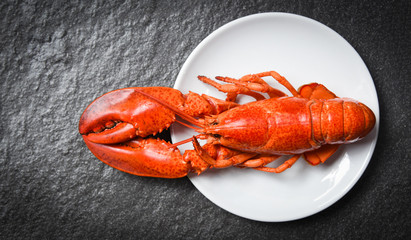 Lobster on white plate with dark background - seafood shrimp prawn