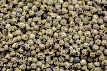 black pepper raw berries
