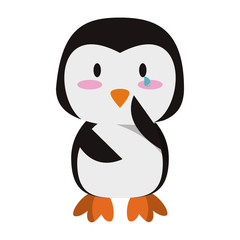 Cute penguin animal cartoon vector illustration