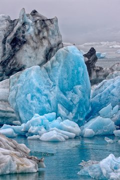Drifting blue icebergs with gull (Larus marinus) in the Jokulsarlon glacier lagoon in fog, Southern Region, Iceland, Europe