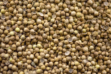 allspice macro texture