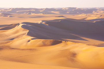 Fototapeta na wymiar Golden sand in Sahara desert in Egypt