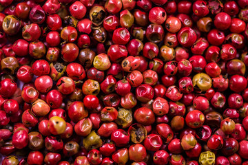 black pepper raw berries