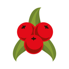 Fruits on leaves cartoon isolated