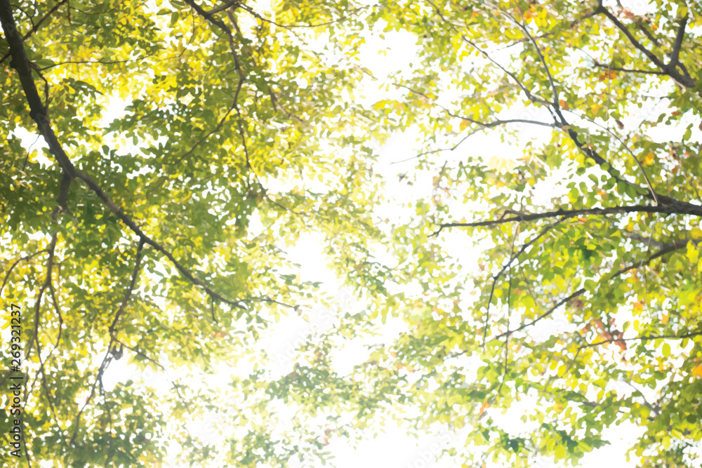 Poster nature pattern background