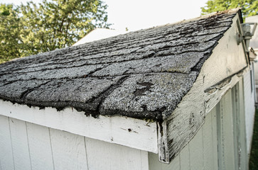 roof shingles are old and need to be replaced