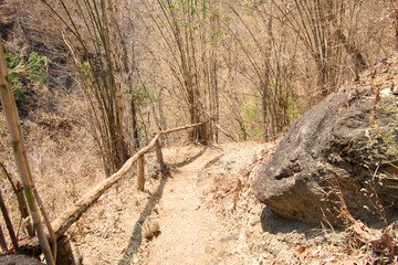 Walkway in the forest at Op Luang National Park, Hot, Chiang Mai, Thailand. Hot weather and arid.