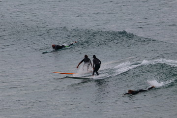 surfing