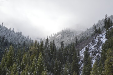 mountains in winter