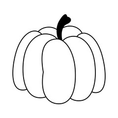 Pumpkin fresh vegetable food cartoon in black and white