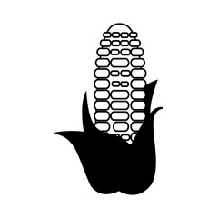 Corn fresh vegetable cartoon isolated in black and white