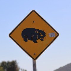 wombat sign