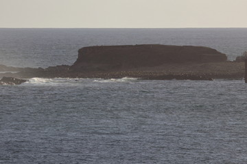 phillip island