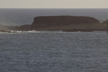 phillip island