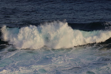 phillip island