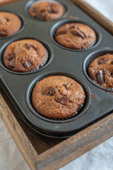 chocolate chip muffins