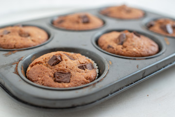 chocolate chip muffins