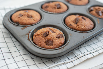 chocolate chip muffins