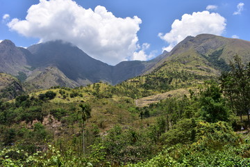 Fototapeta na wymiar The Kurangani Hills near Bodinayakkanur in Theni district