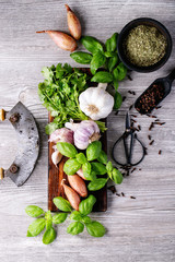 Fresh coriander and basil