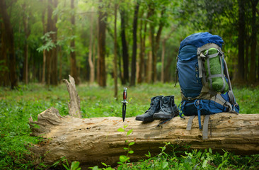 Camping elements/ equipment in rain forest. Backpack and shoes backpackers.