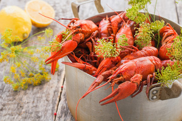 Boiled crayfish with dill on an old metal pan, wooden background. Style rustic. Selective focus