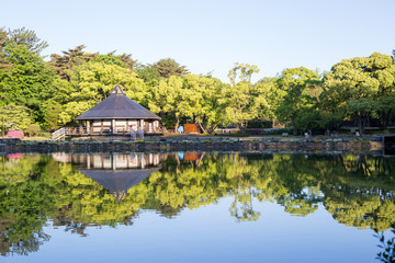 Fototapeta na wymiar Chiba, Japan, 05/08/2019 , Reflection on the pond on Chiba park