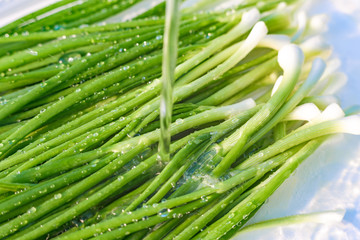 Green onions with a water spray. Fresh green onions with beautiful water droplets