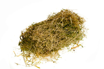 dry grass isolated on white background