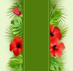 Hibiscus flowers and palm leaves in tropical border arrangements