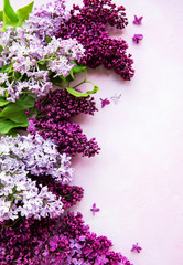 Lilac spring flowers border