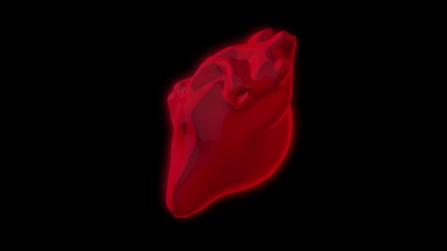 Abstract red realistic heart beating and rotating isolated on black background, seamless loop. Animation. Real human heart spinning and pulsating, medicine concept.