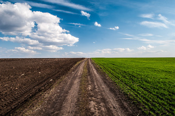 road in the field with a beautiful cloudy sky