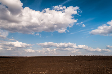 Fototapeta premium road in the field with a beautiful cloudy sky