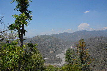 landscape with trees and mountains
