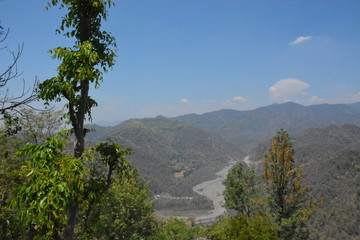 landscape with trees and mountains