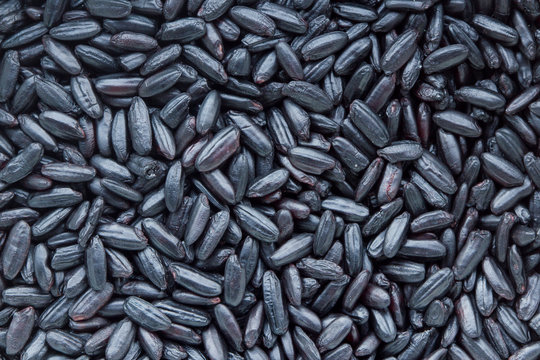 Forbidden Rice (also Known As Black Rice) Close Up. Ancient Grain With Impressive Health Benefits. Healthy Food Concept.