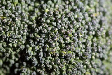 broccoli raw fresh close up