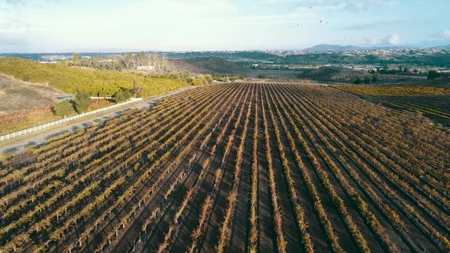 Aerial video of vineyard 