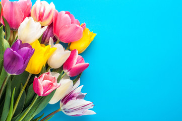 bright spring bouquet of multi-colored tulips on a blue background
