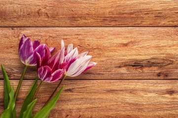 Bright spring bouquet of colorful tulips on wooden background