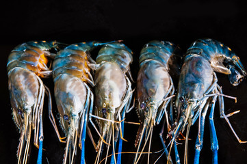 Fresh Prawn Isolated, shrimp on black background