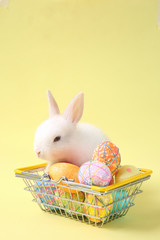 Easter bunny rabbit white with painted egg in the wooden basket on blue background. Easter holiday concept.