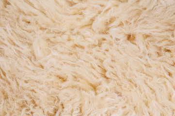 Sheep's wool. Sheep wool texture lamb background