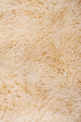 Sheep's wool. Sheep wool texture lamb background