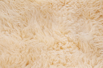 Sheep's wool. Sheep wool texture lamb background