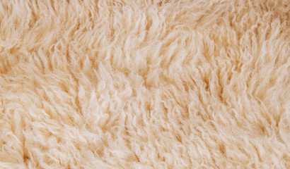 Sheep's wool. Sheep wool texture lamb background