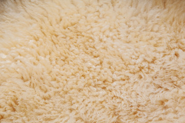 Sheep's wool. Sheep wool texture lamb background