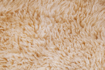 Sheep's wool. Sheep wool texture lamb background